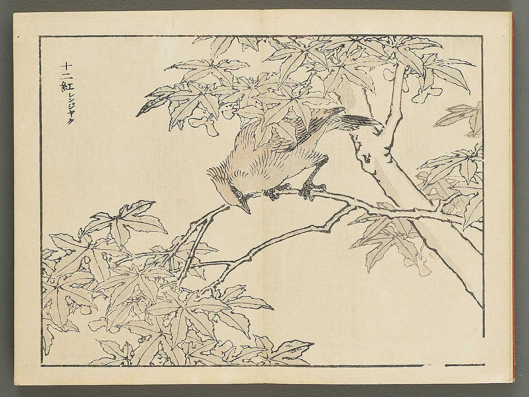 Bairei gafu (Kacho no bu) by Kono Bairei / BJ351-113