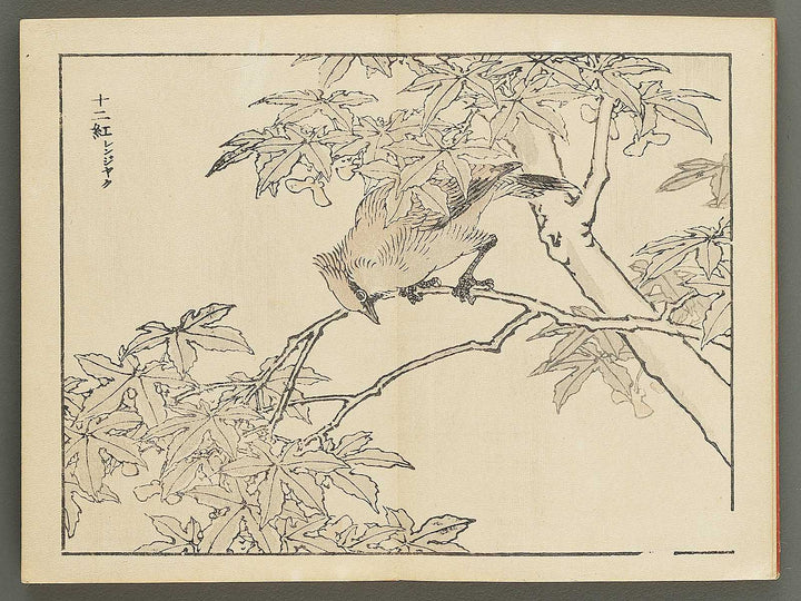 Bairei gafu (Kacho no bu) by Kono Bairei / BJ351-113
