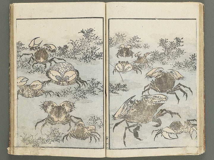 Hokusai gafu (Chu) by Katsushika Hokusai / BJ353-115
