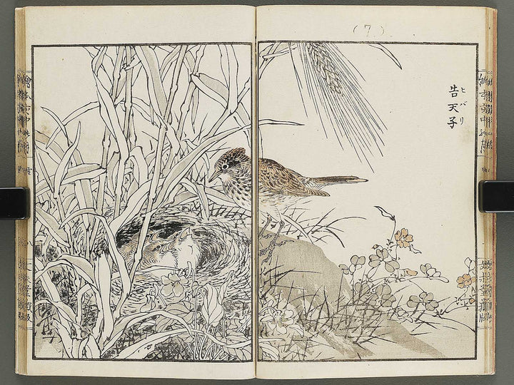 Ehon inaka no tsuki Setsu by Kono Bairei / BJ341-222