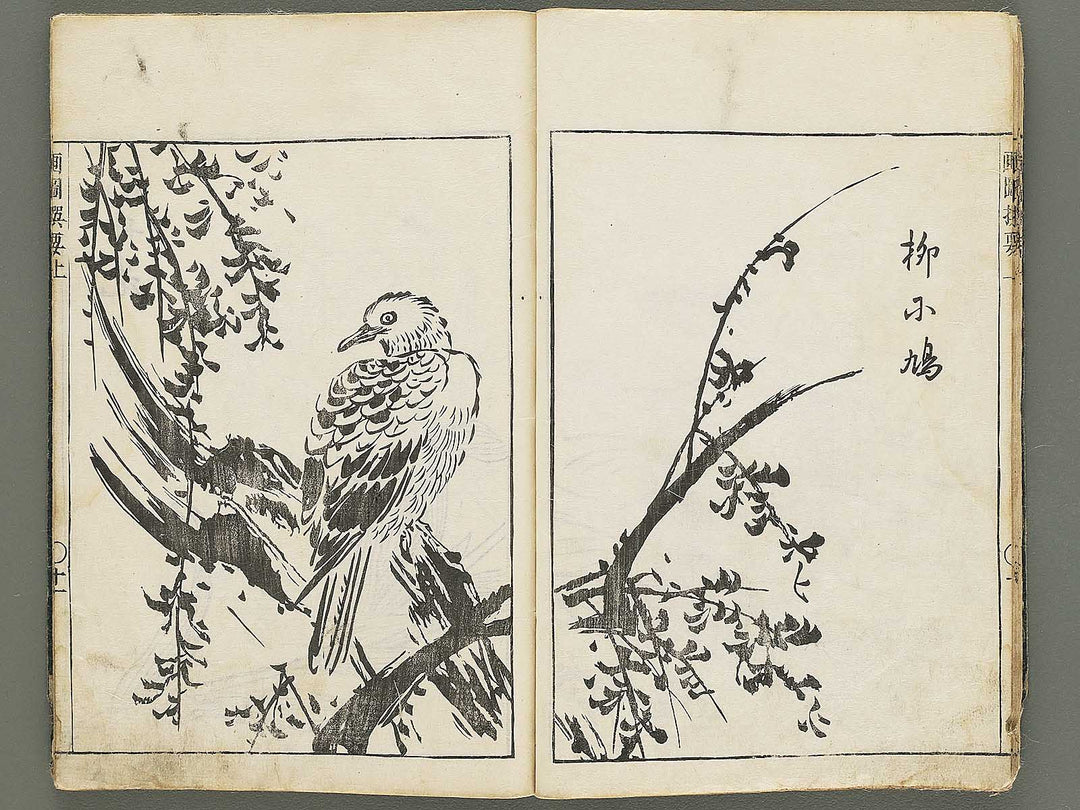 Gazu senyo (Jo) by Gyokusuisai Yoshikane / BJ354-249