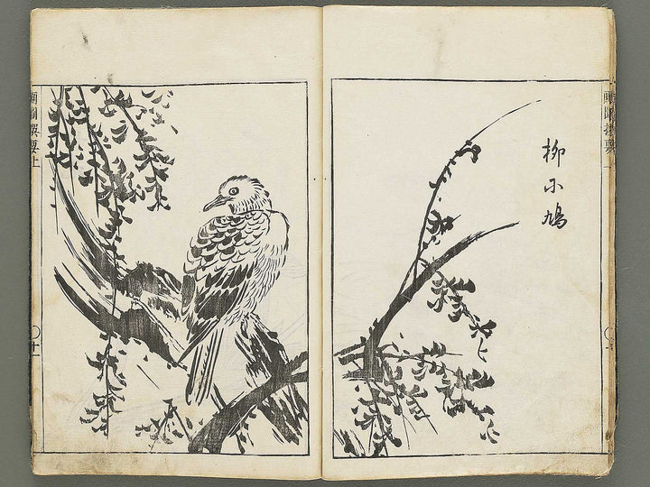 Gazu senyo (Jo) by Gyokusuisai Yoshikane / BJ354-249