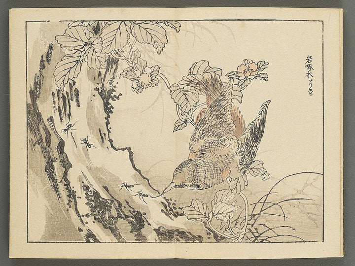 Bairei gafu (Kacho no bu) by Kono Bairei / BJ351-106