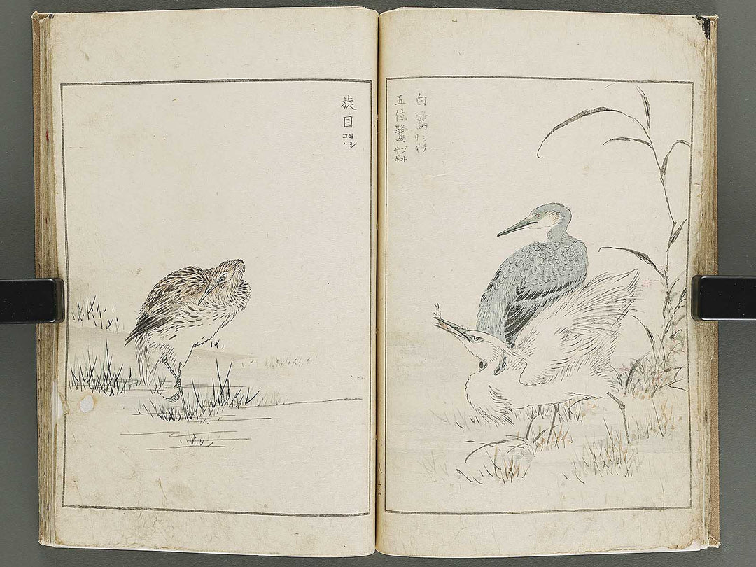 Shucho gafu (Jin) (Part 3 of 3) by Numata Kashu / BJ339-752