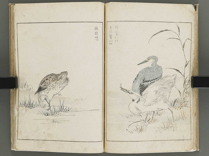 Shucho gafu (Jin) (Part 3 of 3) by Numata Kashu / BJ339-752