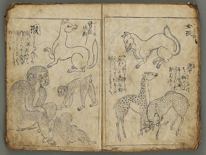 Etehon (Title Unknown)  / BJ337-561