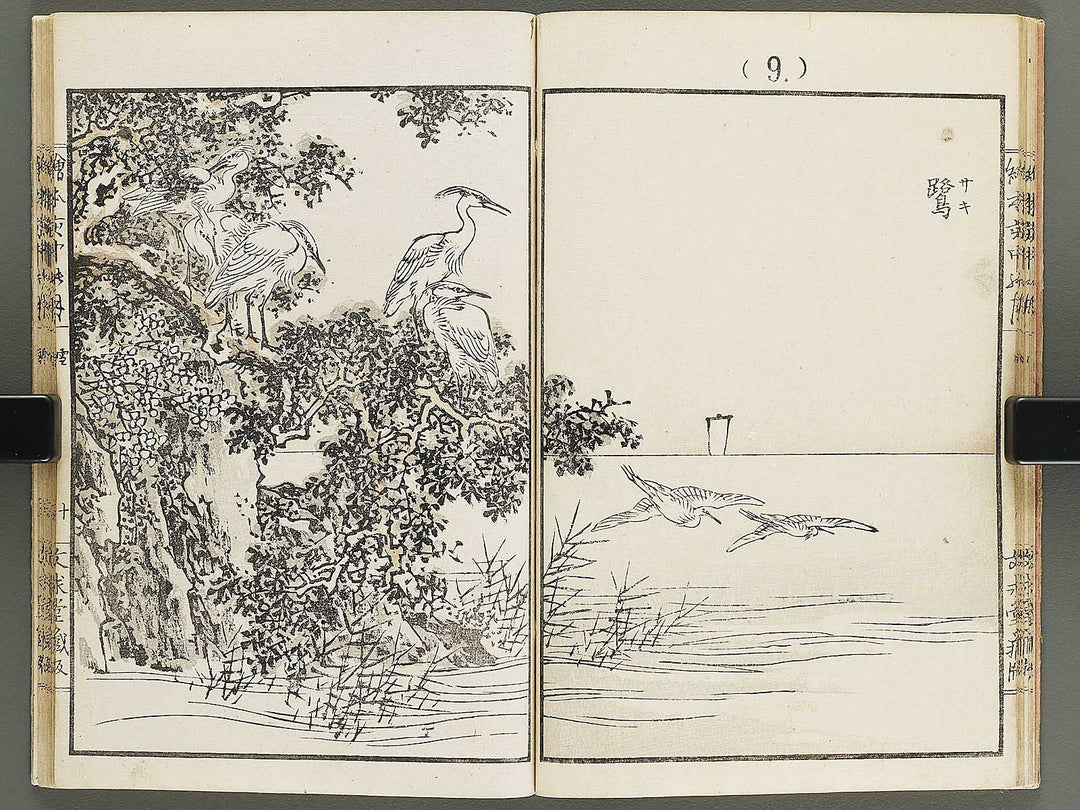 Ehon inaka no tsuki Setsu by Kono Bairei / BJ341-222