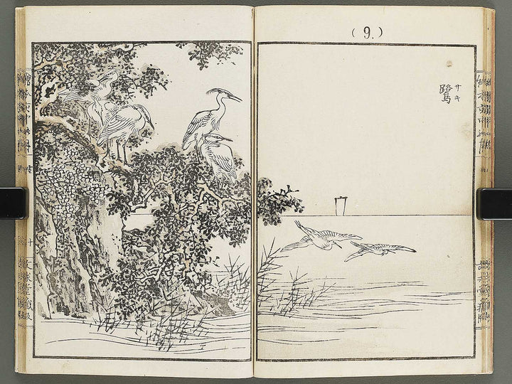 Ehon inaka no tsuki Setsu by Kono Bairei / BJ341-222