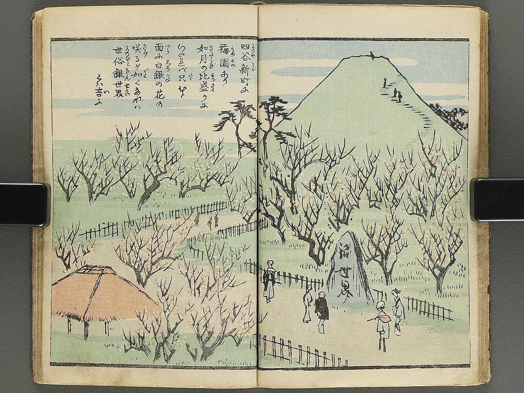 Ehon edo miyage Volume 10 by Utagawa Hiroshige / BJ343-889