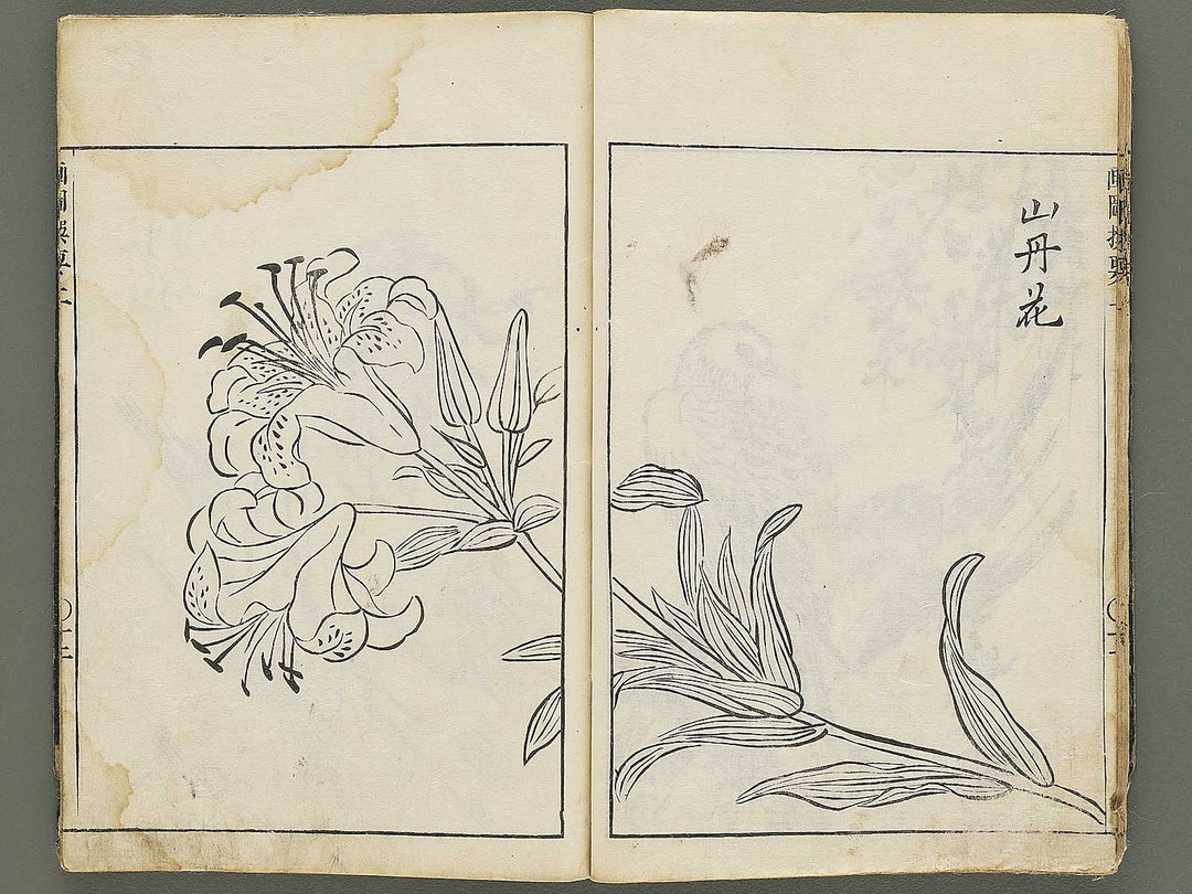 Gazu senyo (Jo) by Gyokusuisai Yoshikane / BJ354-249