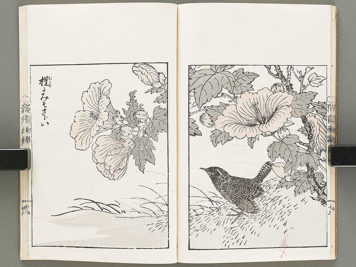 Kacho gafu / BJ331-821