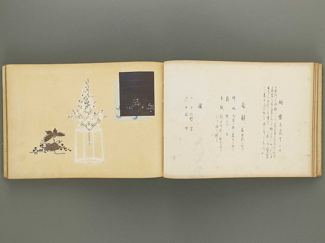 Nogu taikan Volume 4 by Yamaguchi Ryoshu / BJ348-383