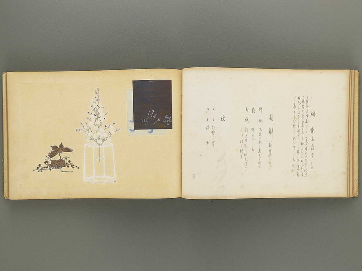 Nogu taikan Volume 4 by Yamaguchi Ryoshu / BJ348-383