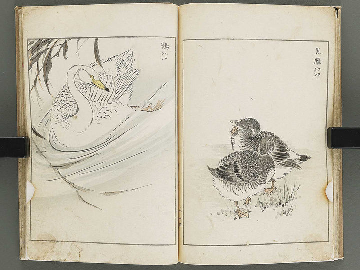 Shucho gafu (Jin) (Part 3 of 3) by Numata Kashu / BJ339-752