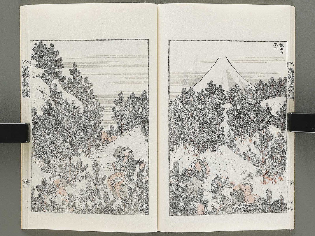 Hokusai fugaku hyakkei Part 1 by Katsushika Hokusai / BJ331-863
