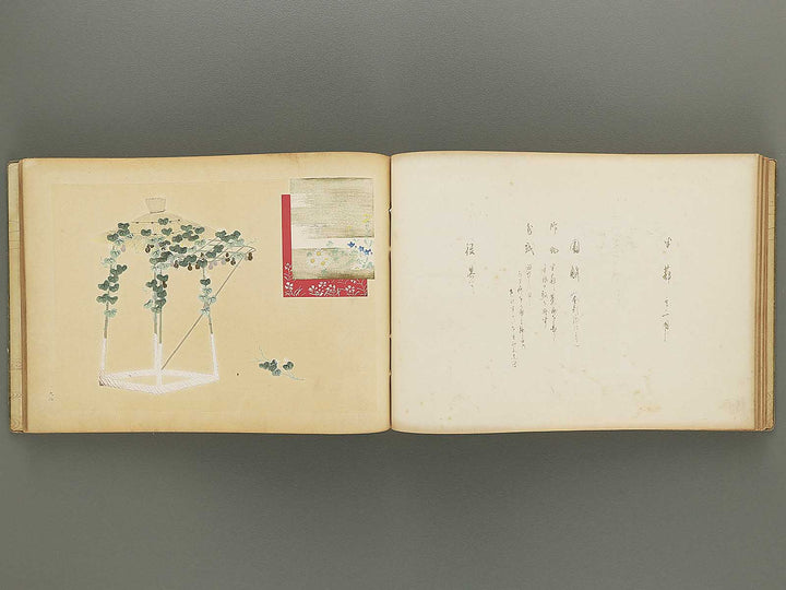 Nogu taikan Volume 4 by Yamaguchi Ryoshu / BJ348-383
