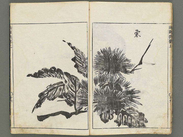 Gazu senyo (Jo) by Gyokusuisai Yoshikane / BJ354-249
