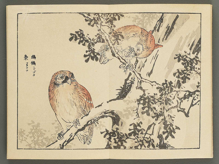 Bairei gafu (Kacho no bu) by Kono Bairei / BJ351-106