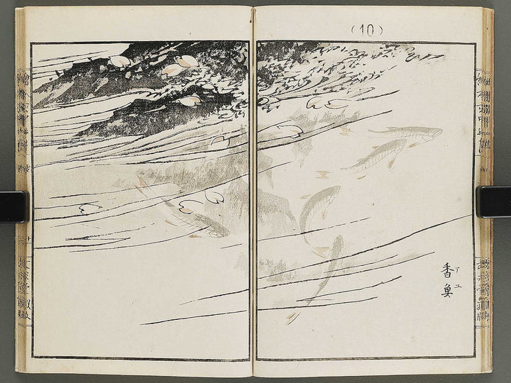 Ehon inaka no tsuki Setsu by Kono Bairei / BJ341-222