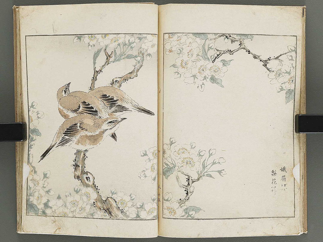 Shucho gafu (Jin) (Part 3 of 3) by Numata Kashu / BJ339-752