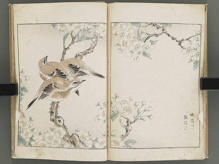 Shucho gafu (Jin) (Part 3 of 3) by Numata Kashu / BJ339-752