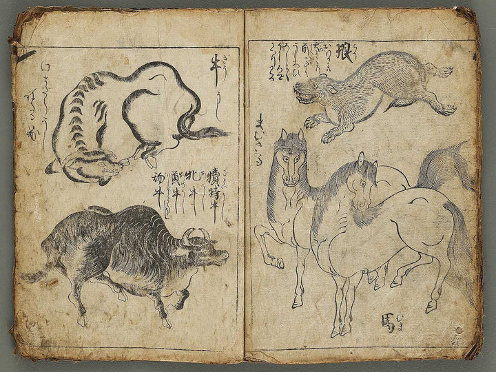 Etehon (Title Unknown)  / BJ337-561