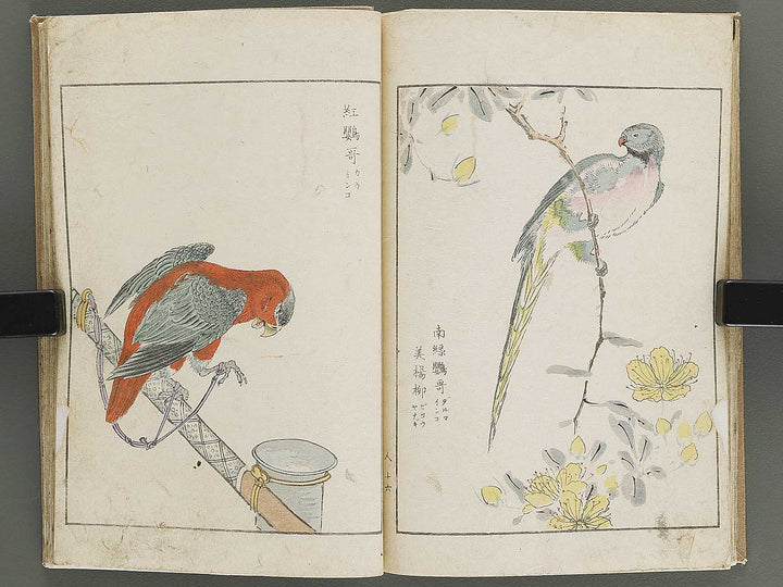 Shucho gafu (Jin) (Part 3 of 3) by Numata Kashu / BJ339-752