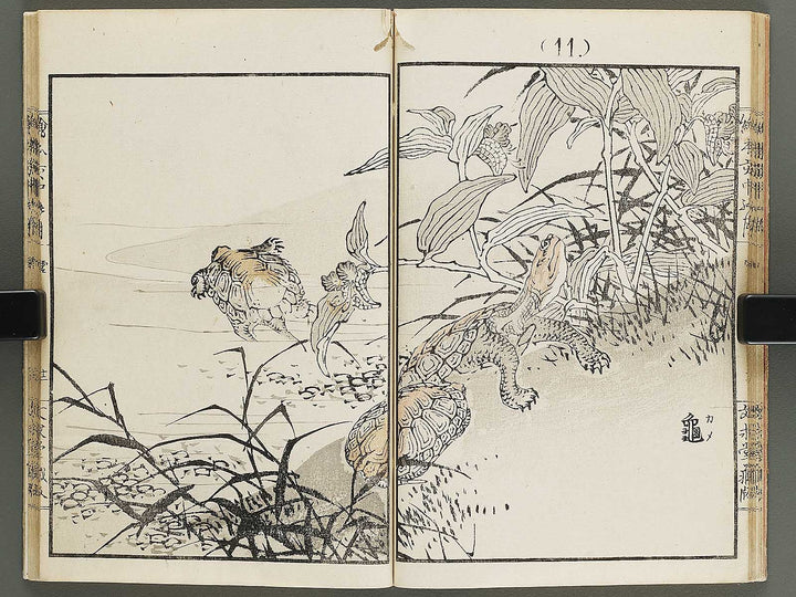 Ehon inaka no tsuki Setsu by Kono Bairei / BJ341-222