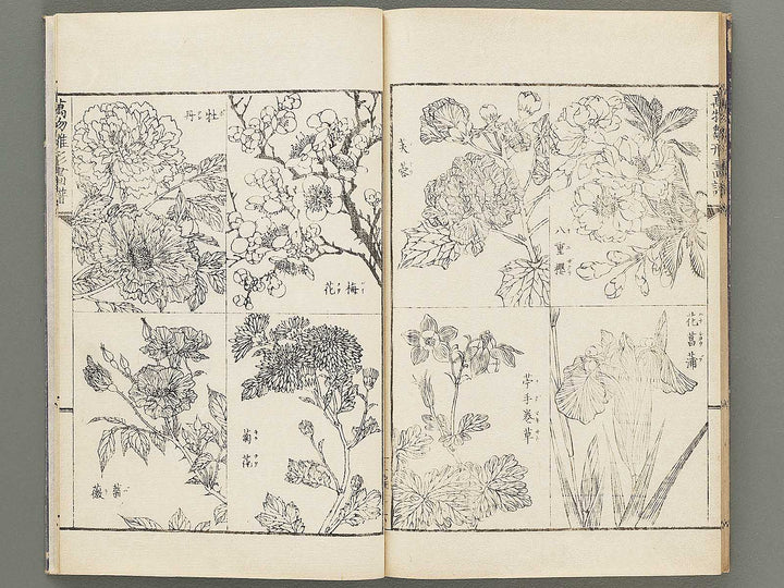 Banbutsu hinagata gafu Volume 2 by Sensai Eisaku / BJ305-956