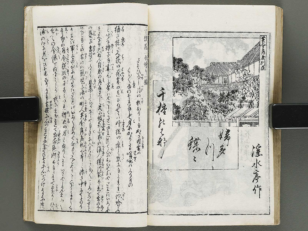 Chigusa no hana futatsu chocho by Utagawa-school / BJ316-183