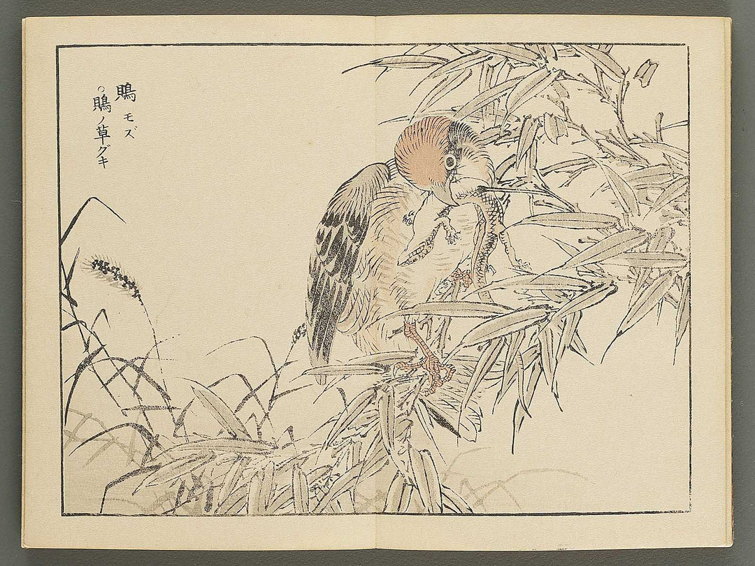 Bairei gafu (Kacho no bu) by Kono Bairei / BJ351-106