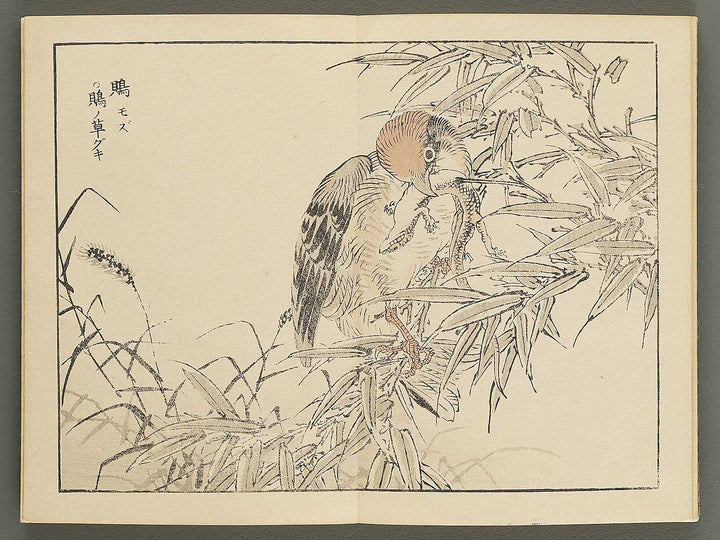 Bairei gafu (Kacho no bu) by Kono Bairei / BJ351-106