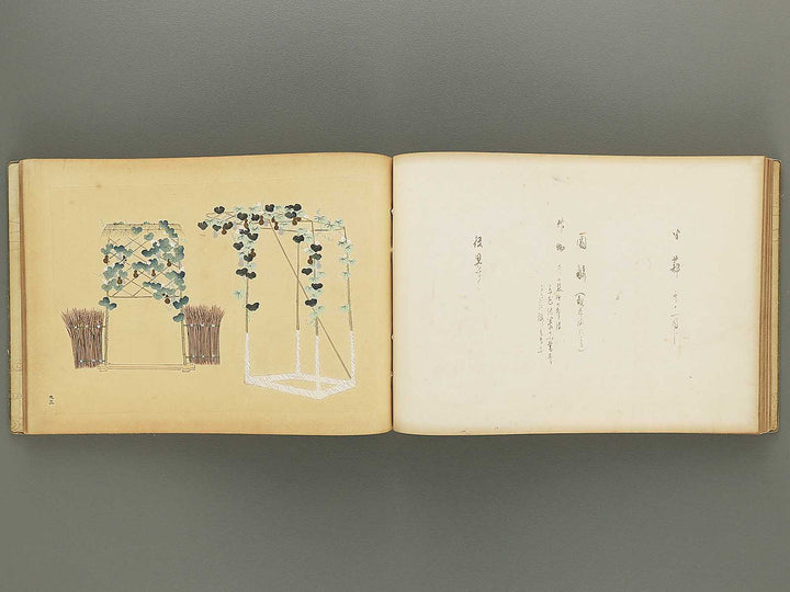 Nogu taikan Volume 4 by Yamaguchi Ryoshu / BJ348-383