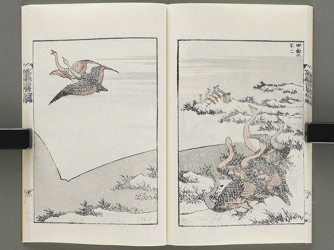 Hokusai fugaku hyakkei Part 1 by Katsushika Hokusai / BJ331-863