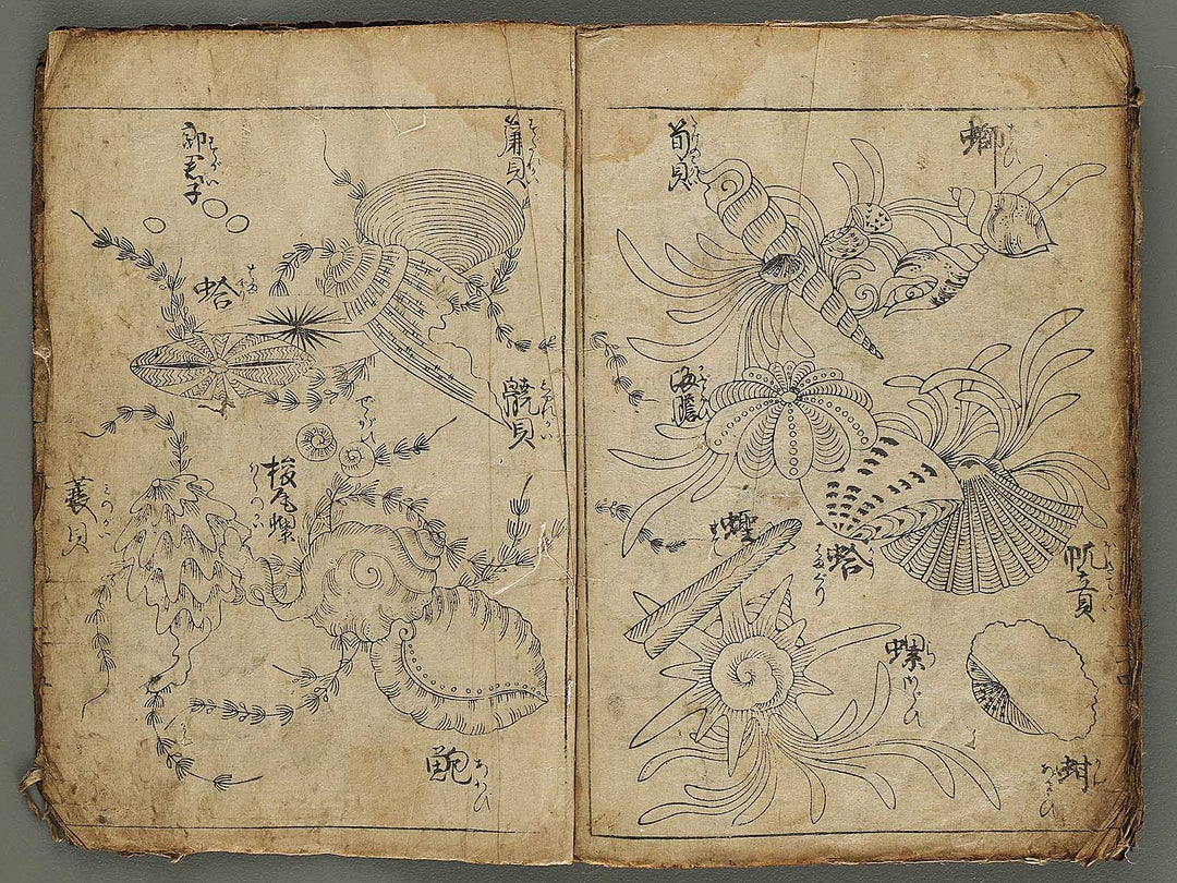 Etehon (Title Unknown)  / BJ337-561