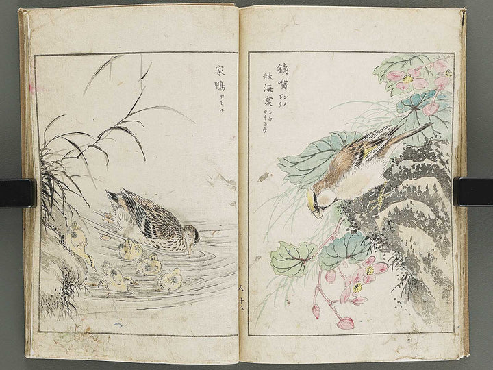 Shucho gafu (Jin) (Part 3 of 3) by Numata Kashu / BJ339-752