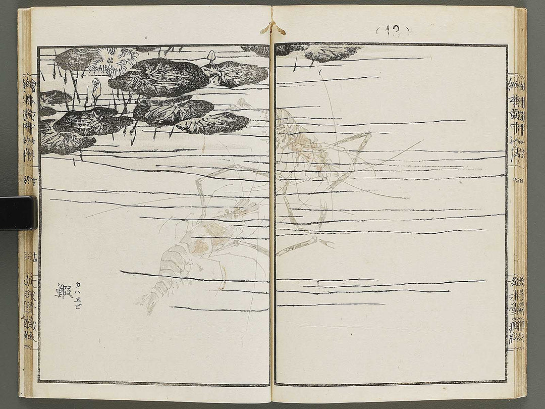 Ehon inaka no tsuki Setsu by Kono Bairei / BJ341-222