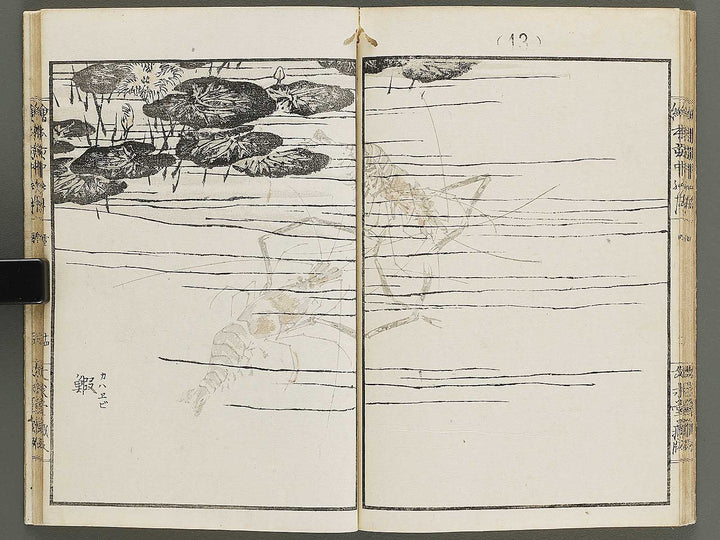 Ehon inaka no tsuki Setsu by Kono Bairei / BJ341-222