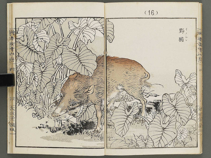 Ehon inaka no tsuki Setsu by Kono Bairei / BJ341-222