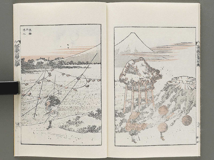 Hokusai fugaku hyakkei Part 1 by Katsushika Hokusai / BJ331-863