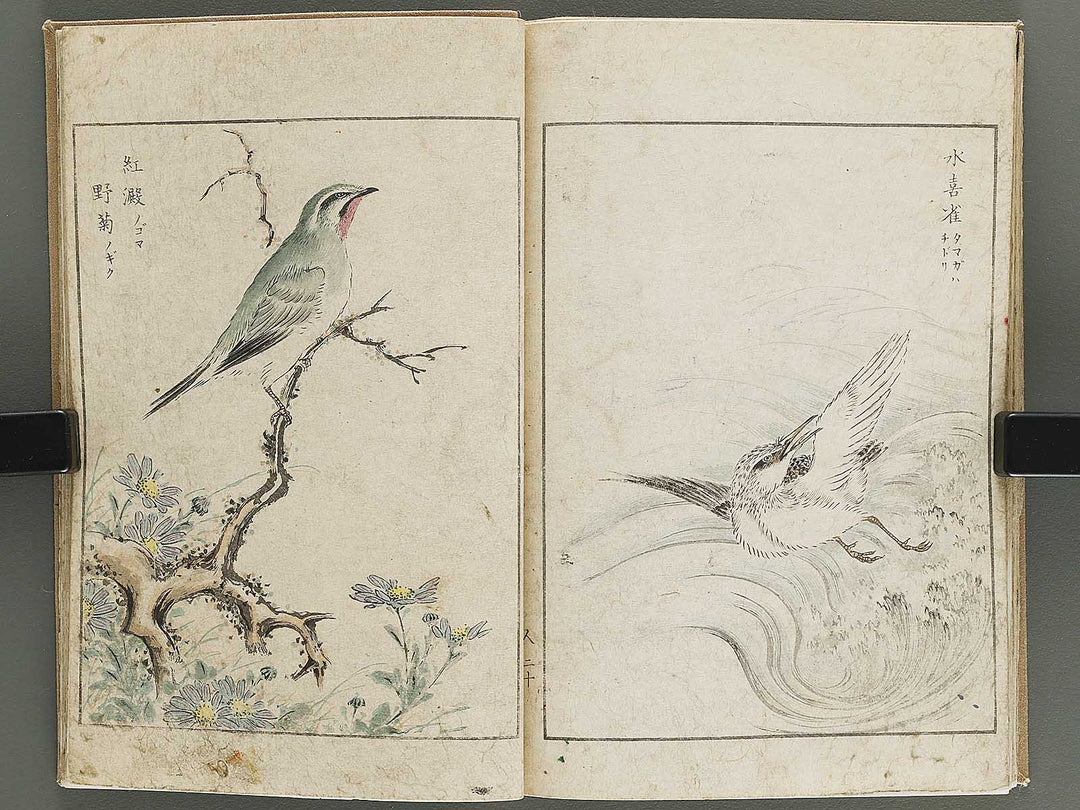 Shucho gafu (Jin) (Part 3 of 3) by Numata Kashu / BJ339-752