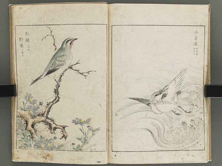 Shucho gafu (Jin) (Part 3 of 3) by Numata Kashu / BJ339-752