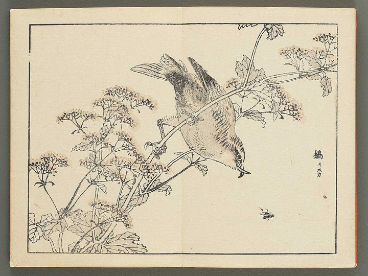 Bairei gafu (Kacho no bu) by Kono Bairei / BJ351-113