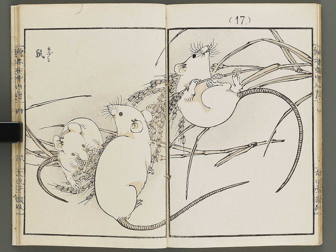 Ehon inaka no tsuki Setsu by Kono Bairei / BJ341-222