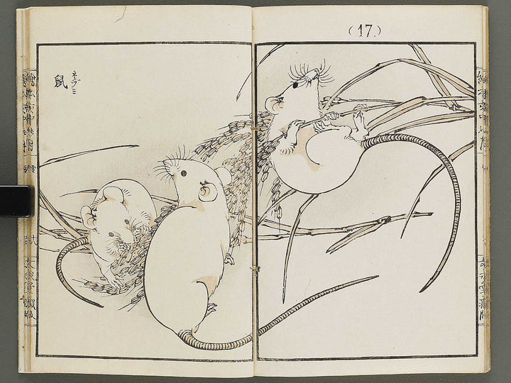 Ehon inaka no tsuki Setsu by Kono Bairei / BJ341-222