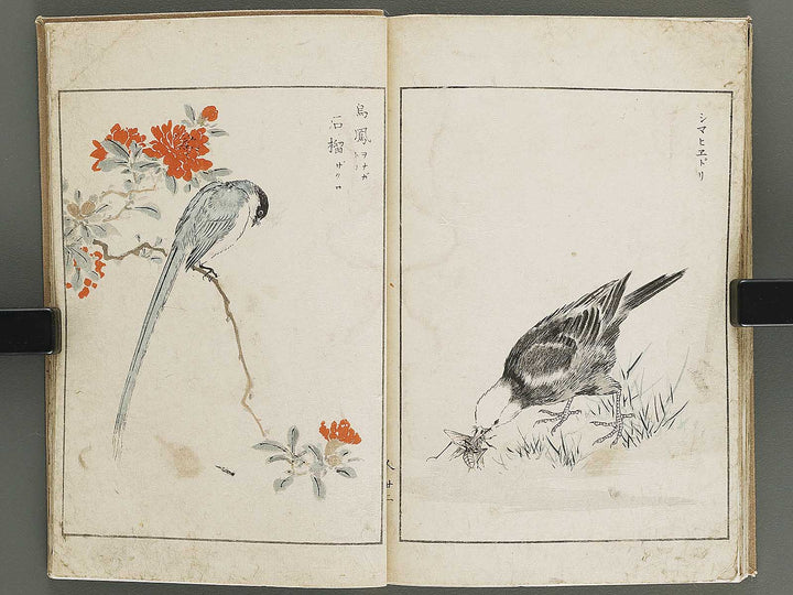 Shucho gafu (Jin) (Part 3 of 3) by Numata Kashu / BJ339-752