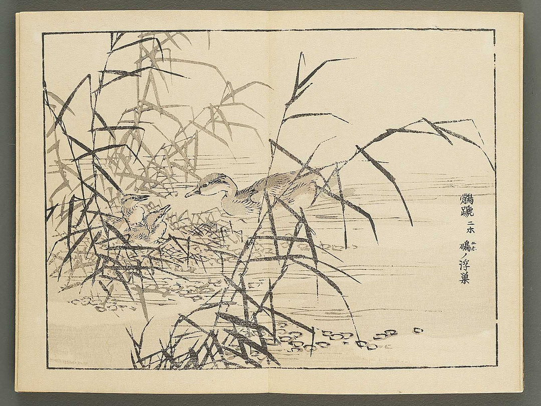 Bairei gafu (Kacho no bu) by Kono Bairei / BJ351-106