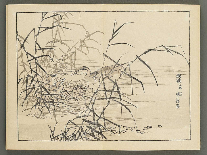 Bairei gafu (Kacho no bu) by Kono Bairei / BJ351-106