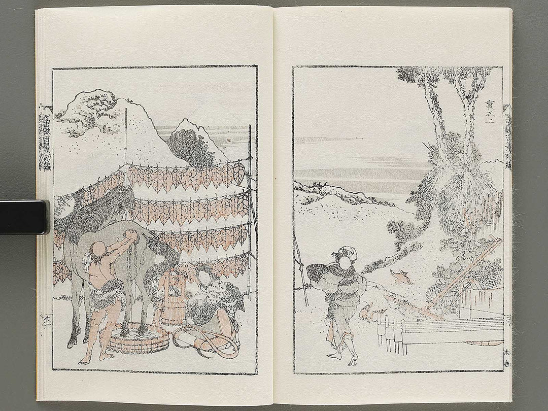 Hokusai fugaku hyakkei Part 1 by Katsushika Hokusai / BJ331-863