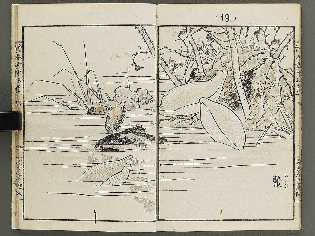 Ehon inaka no tsuki Setsu by Kono Bairei / BJ341-222